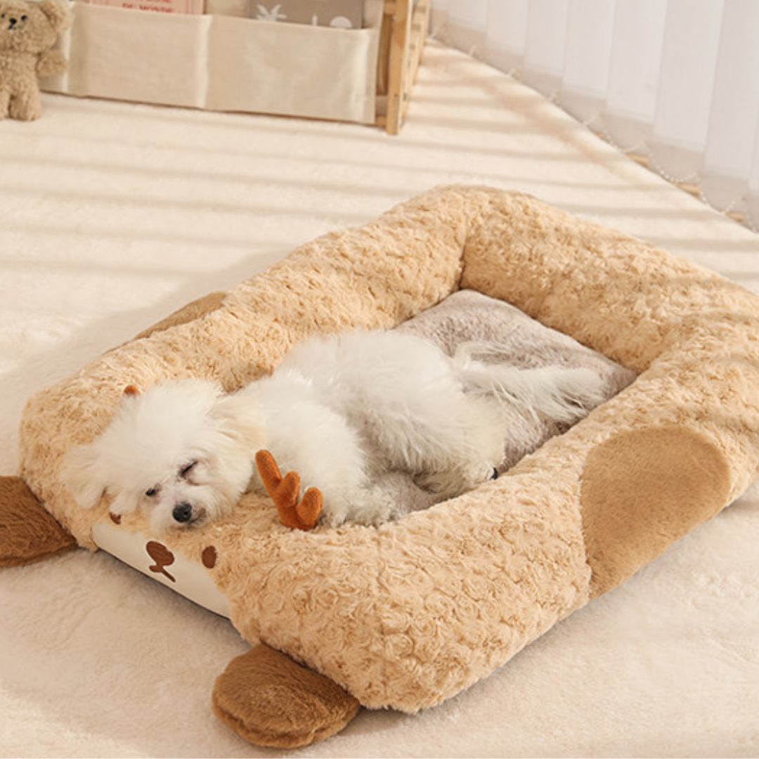 Soft and cozy pets bed for dogs and cats