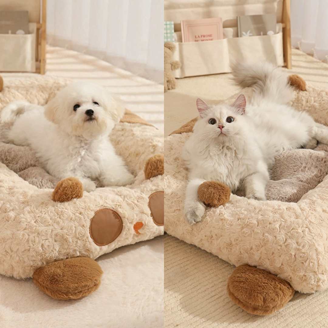 Soft and cozy pets bed for dogs and cats