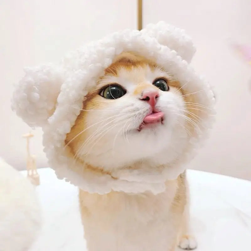 Funny Cat Cap