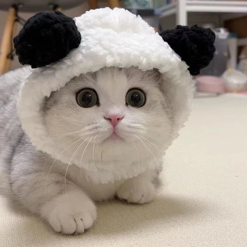 Funny Cat Cap